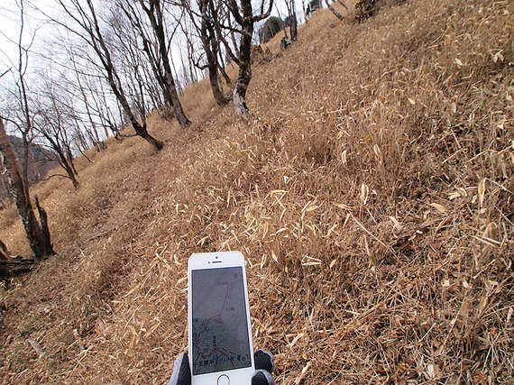 復路のけもの道で方向を間違える！