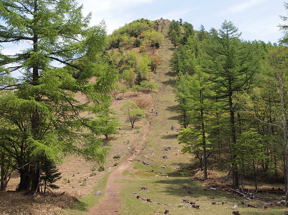 登山道より笠取山を望む