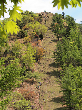 笠取山の直登道