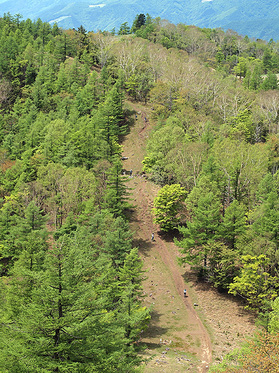 笠取山の直登道を見下ろす