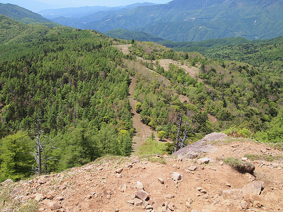 笠取山山頂から望む歩いてきた山道