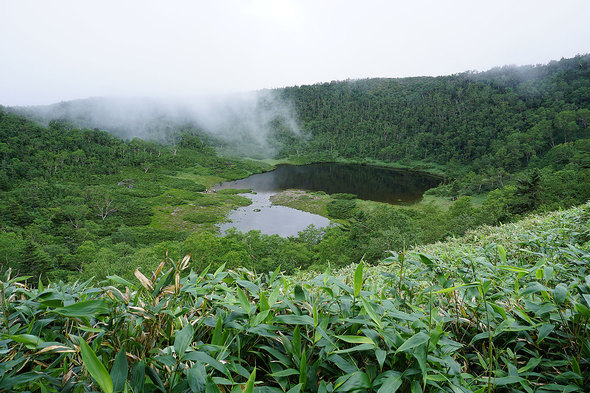 遊歩道から眼下に鏡池