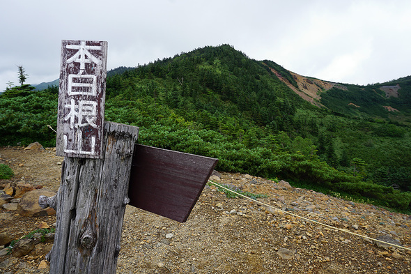 本白根山遊歩道最高地点から望む本白根山