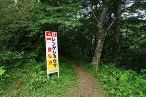 レンゲショウマ群生地入口の看板