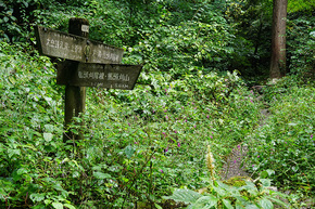 登山口付近の道標