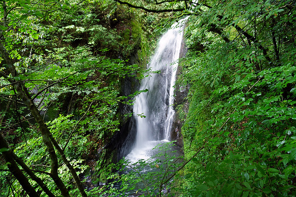 豊富な水量の大滝