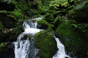 大岳沢の清流