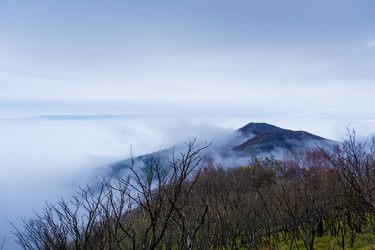 秋霧に色づく赤城山