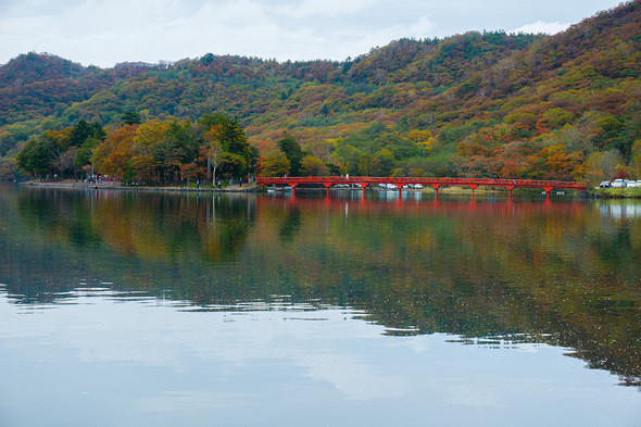 大沼と啄木鳥橋（きつつきばし）