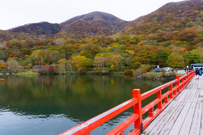 啄木鳥橋と紅葉