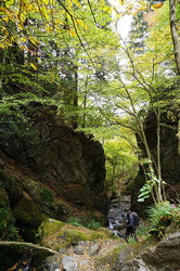 黄葉輝く棒ノ折山