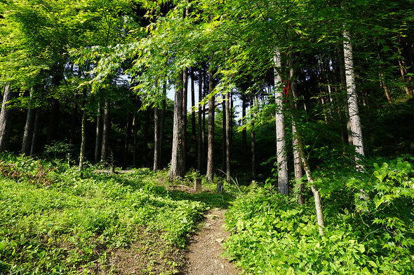 東尾根の登山口