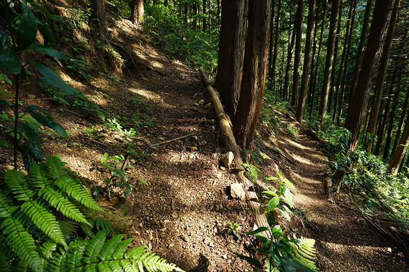 九十九折りの山道