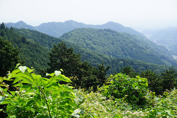 景信山から城山へ向かう途中から、東尾根を望む