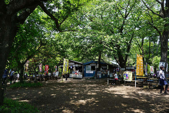 緑豊かな小仏城山の売店広場