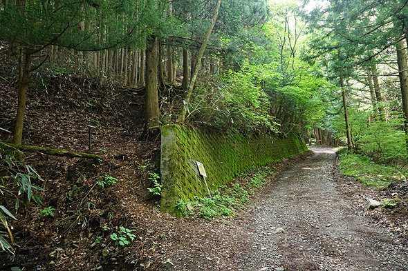 道志の森キャンプ場内の鳥ノ胸山登山口