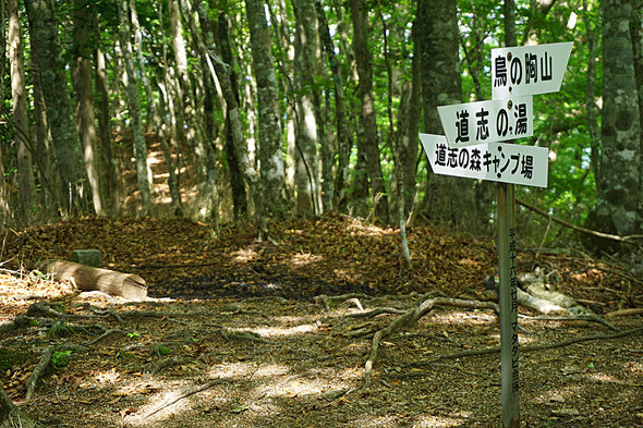 分岐の道標