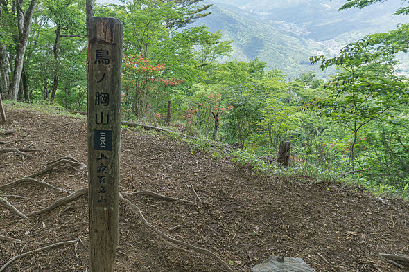 鳥ノ胸山(とんのむねやま)山頂