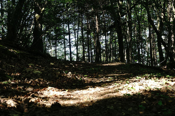 横手山峠に向かう山道