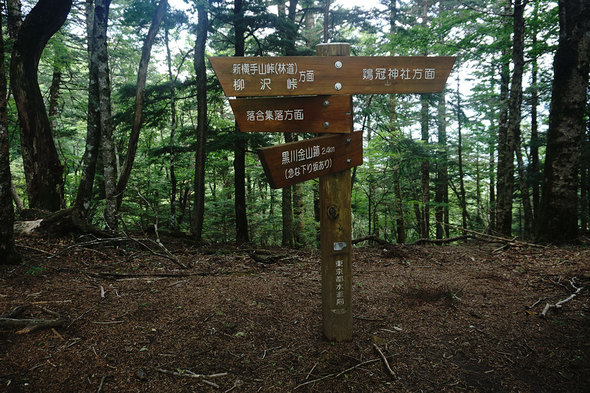 鶏冠神社、黒川金山跡、落合、横手山峠方面の四叉分岐地点