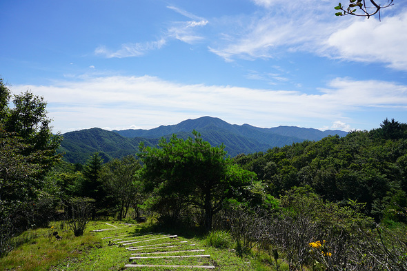 ハンゼノ頭に上る階段からの風景