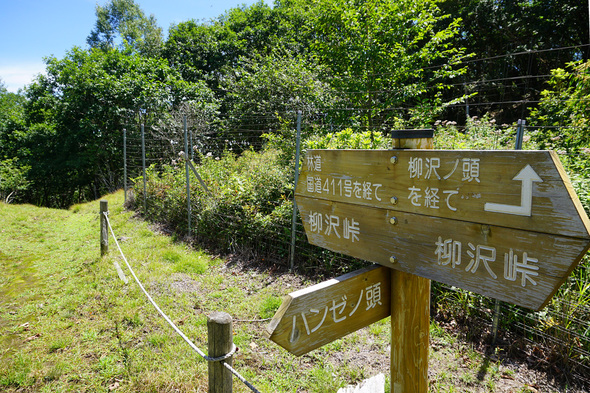 ハンゼノ頭下の分岐地点