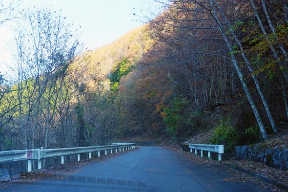 真木小金沢林道