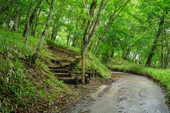 大菩薩嶺登山口