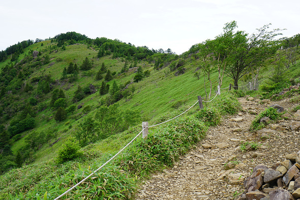 親不知ノ頭から大菩薩嶺方面の登山道