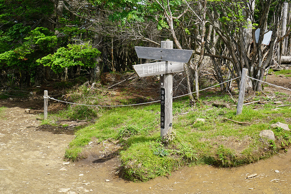 雷岩の分岐地点