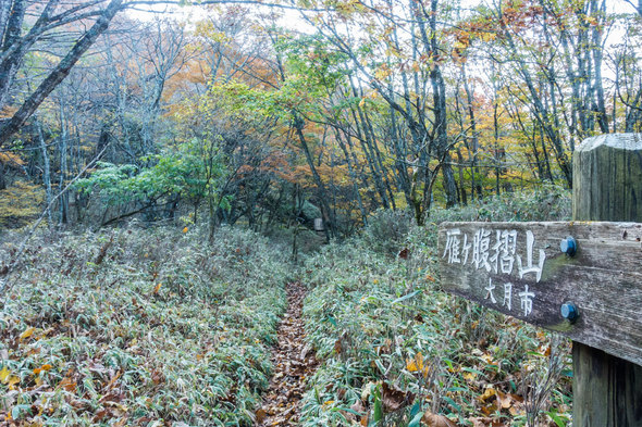 雁ケ腹摺山 登山口