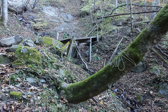 通行禁止の木橋