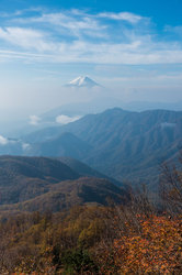 紅葉の雁ケ腹摺山＆姥子山