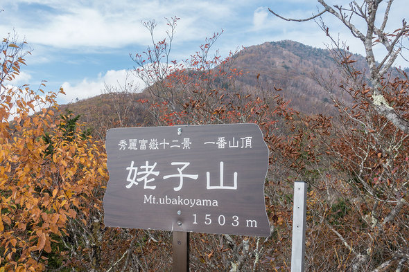 姥子山　一番山頂