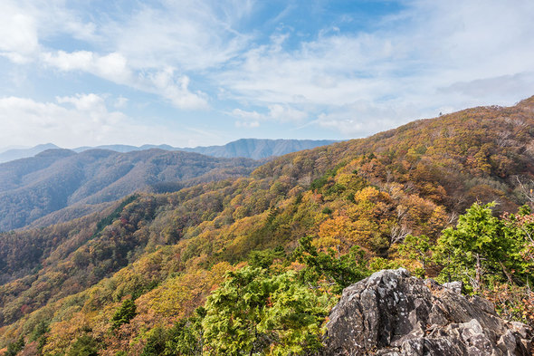 姥子山からの眺望