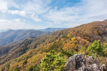 紅葉の雁ケ腹摺山＆姥子山