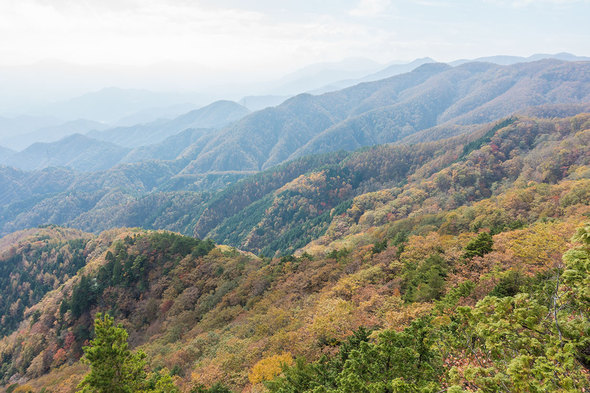 中心にうっすら富士山