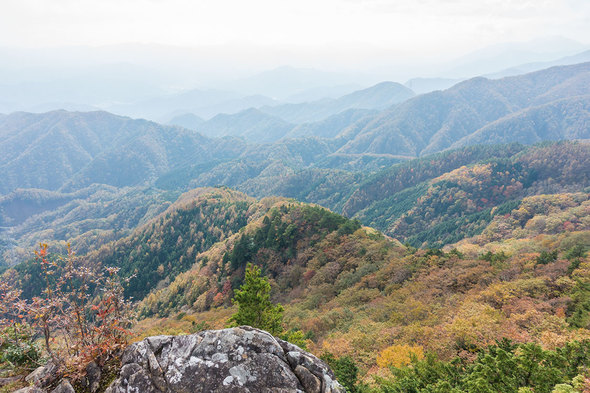 姥子山から紅葉の展望