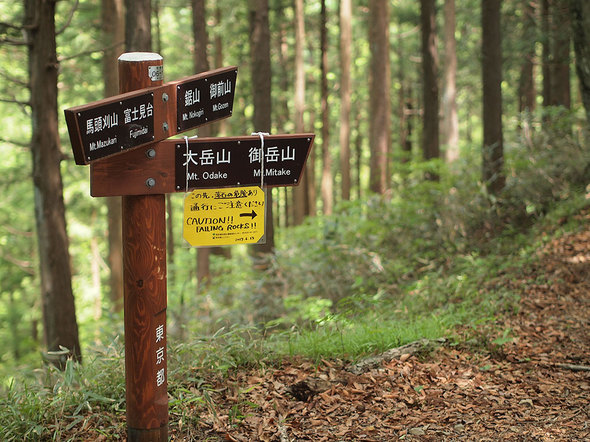 馬頭刈尾根の道標(大岳山方面の分岐)