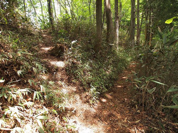 大岳山直登コース(左)と大岳神社経由コース(右)の分岐地点