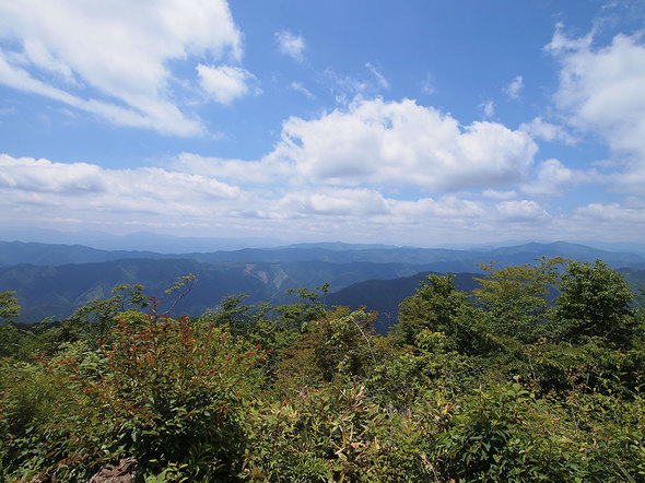 大岳山からの展望(6月)