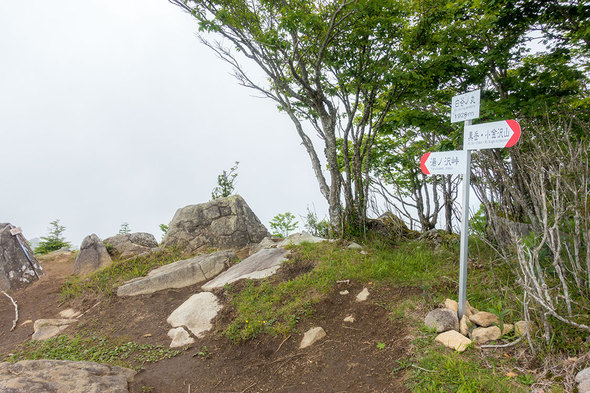 白谷ノ丸山頂