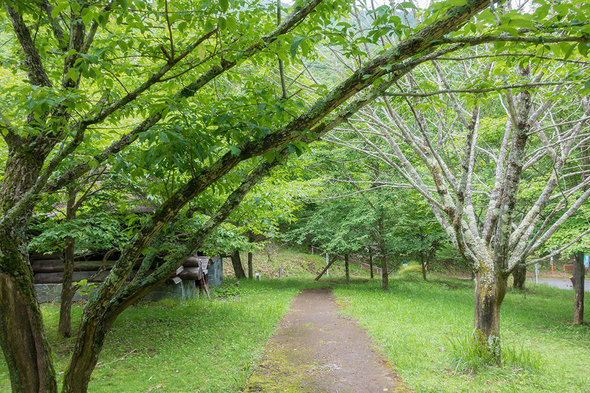 大峠の黒岳登山口帰着!!