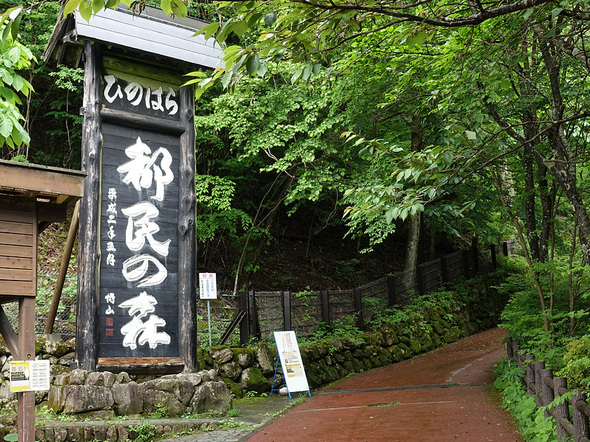 ひのはら都民の森入口(駐車場前)