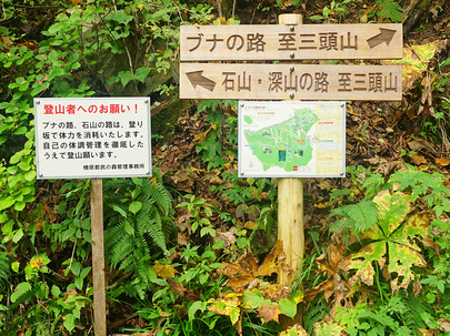 石山・深山の路とブナの路方面の分岐地点