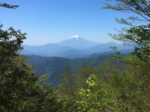 三頭山頂から富士山の展望