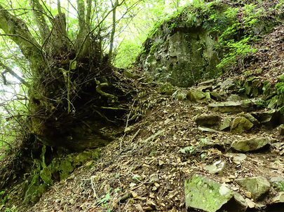 石山の路の山道