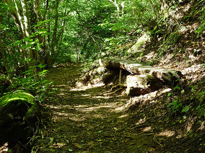 石山の路のベンチ