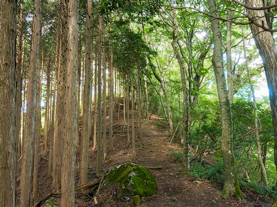 深山の路