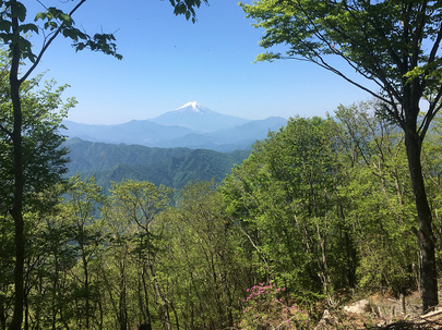 笹尾根のベンチから望む富士山